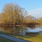 Hinter dem Rheindeich: Druckwasser-Schönheiten 01