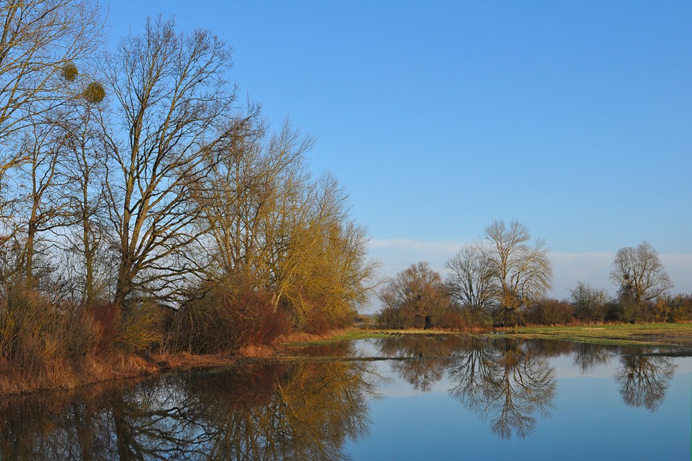 Hinter dem Rheindeich: Druckwasser-Schönheiten 02