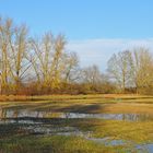 Hinter dem Rheindeich: Druckwasser-Schönheiten 04