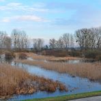 Hinter dem Rheindeich: Druckwasser-Schönheiten 05