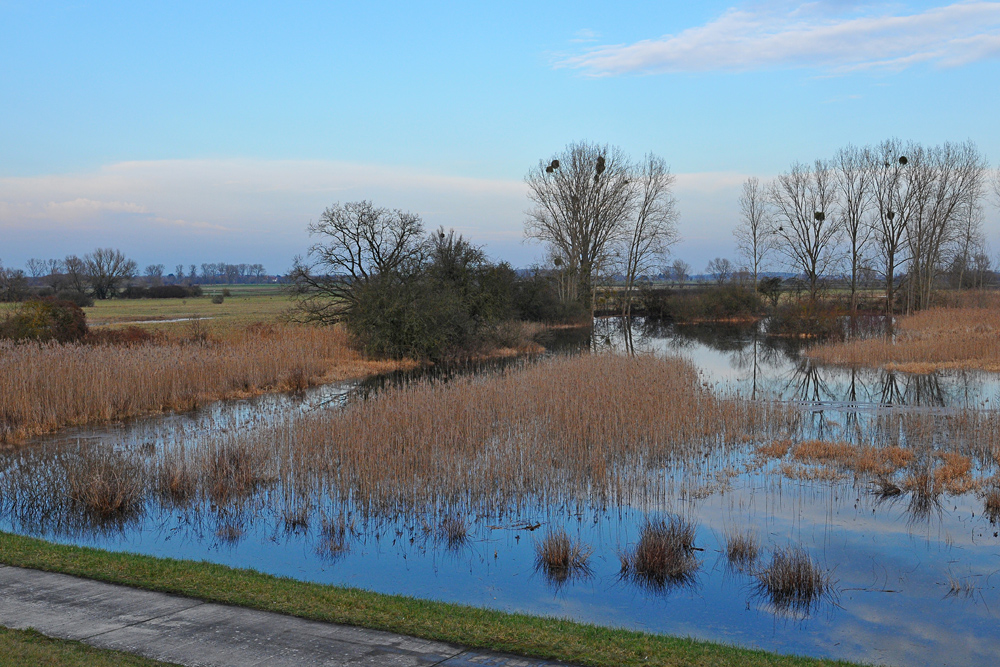 Hinter dem Rheindeich: Druckwasser-Schönheiten 06