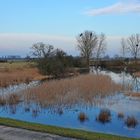 Hinter dem Rheindeich: Druckwasser-Schönheiten 06