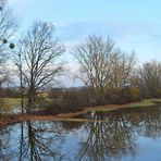 Hinter dem Rheindeich: Druckwasser-Schönheiten 07