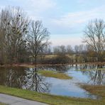 Hinter dem Rheindeich: Druckwasser-Schönheiten 08