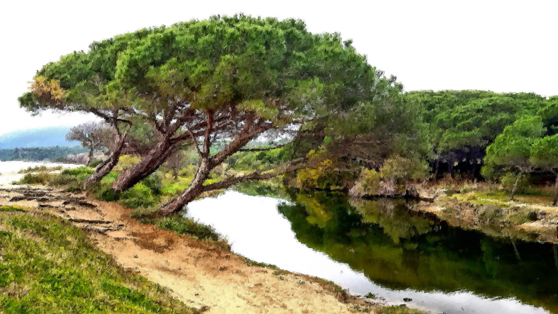 Hinter dem Strand - Laguna nascosta