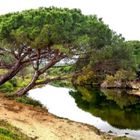 Hinter dem Strand - Laguna nascosta