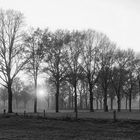 Hinter den Bäumen versteckt sie sich (Oude IJsselstreek 2020.12.09)