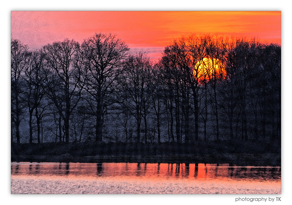 Hinter den Bäumen wohnt die Sonne