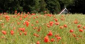 DE: . . . hinter den Bergen . . . de Günter Bulst Haan-Gruiten 