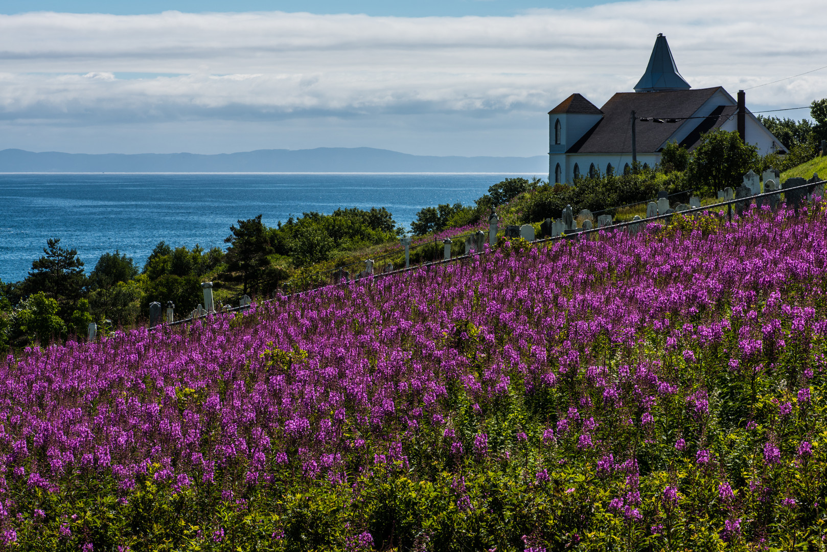 Hinter den Blumen steht eine Kirche                  DSC_3732