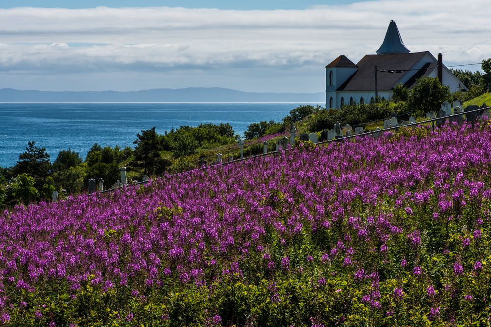 Hinter den Blumen steht eine Kirche                  DSC_3732