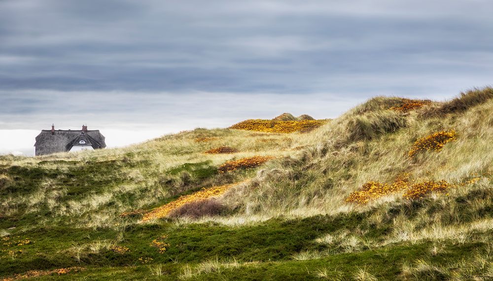  Hinter den Dünen ...