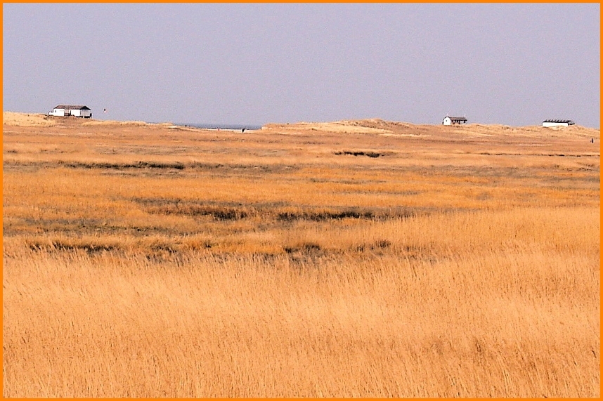 Hinter den Dünen ...