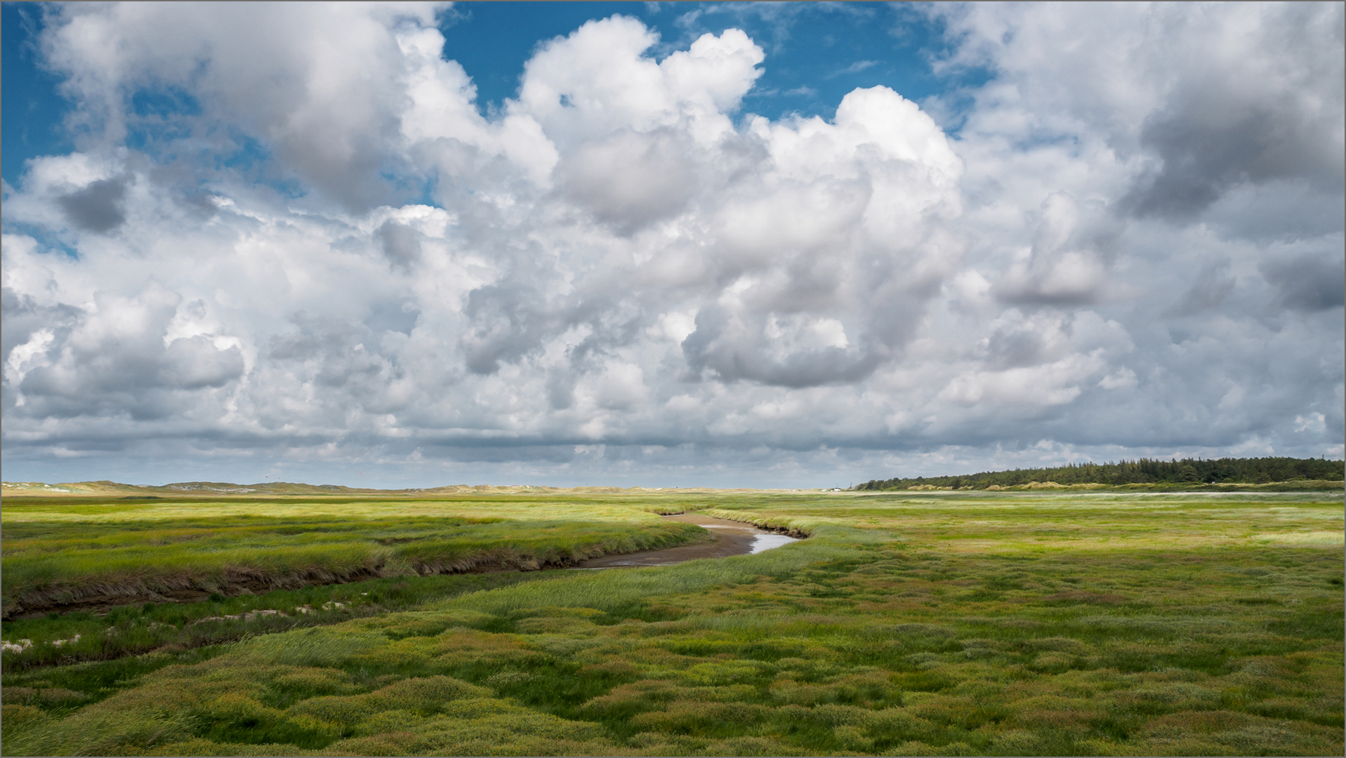 Hinter den Dünen