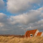 Hinter den Dünen