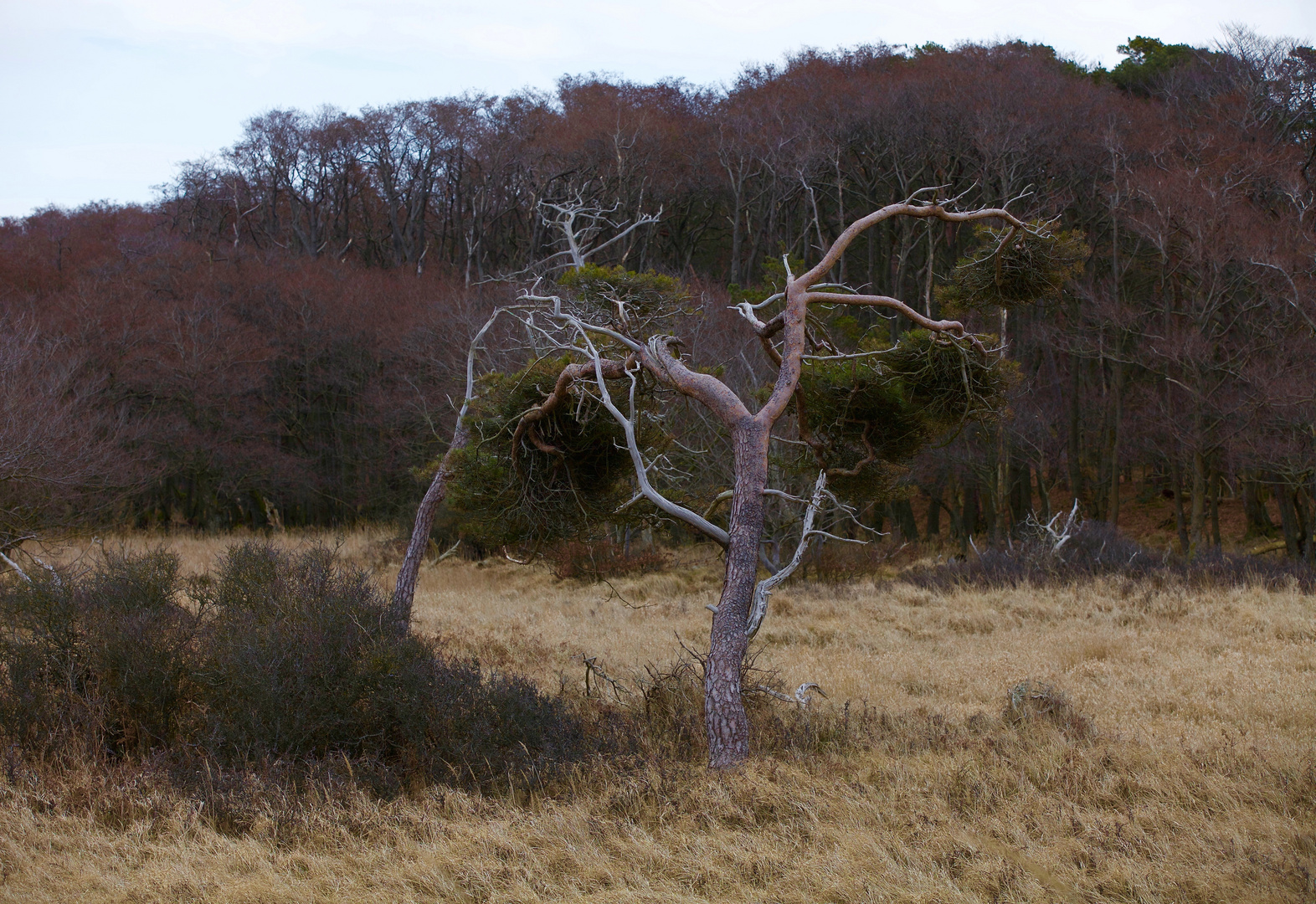 hinter den Dünen.....