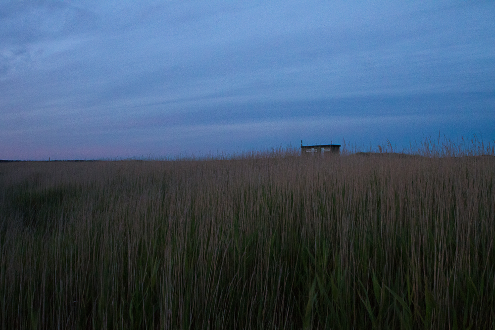 Hinter den Dünen