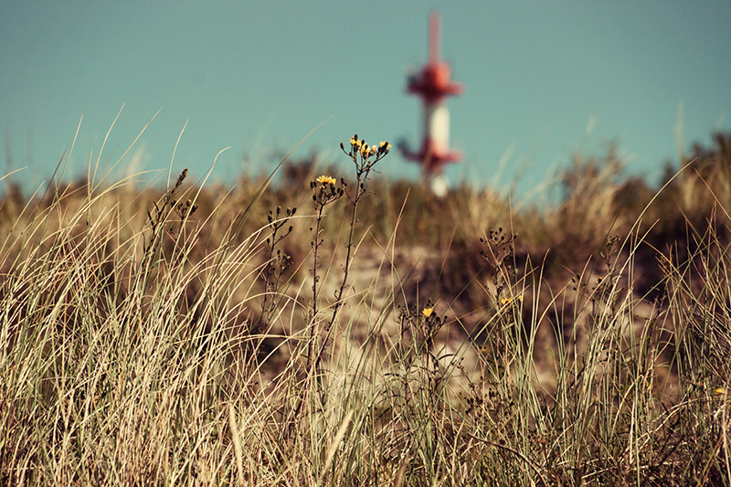 Hinter den Dünen