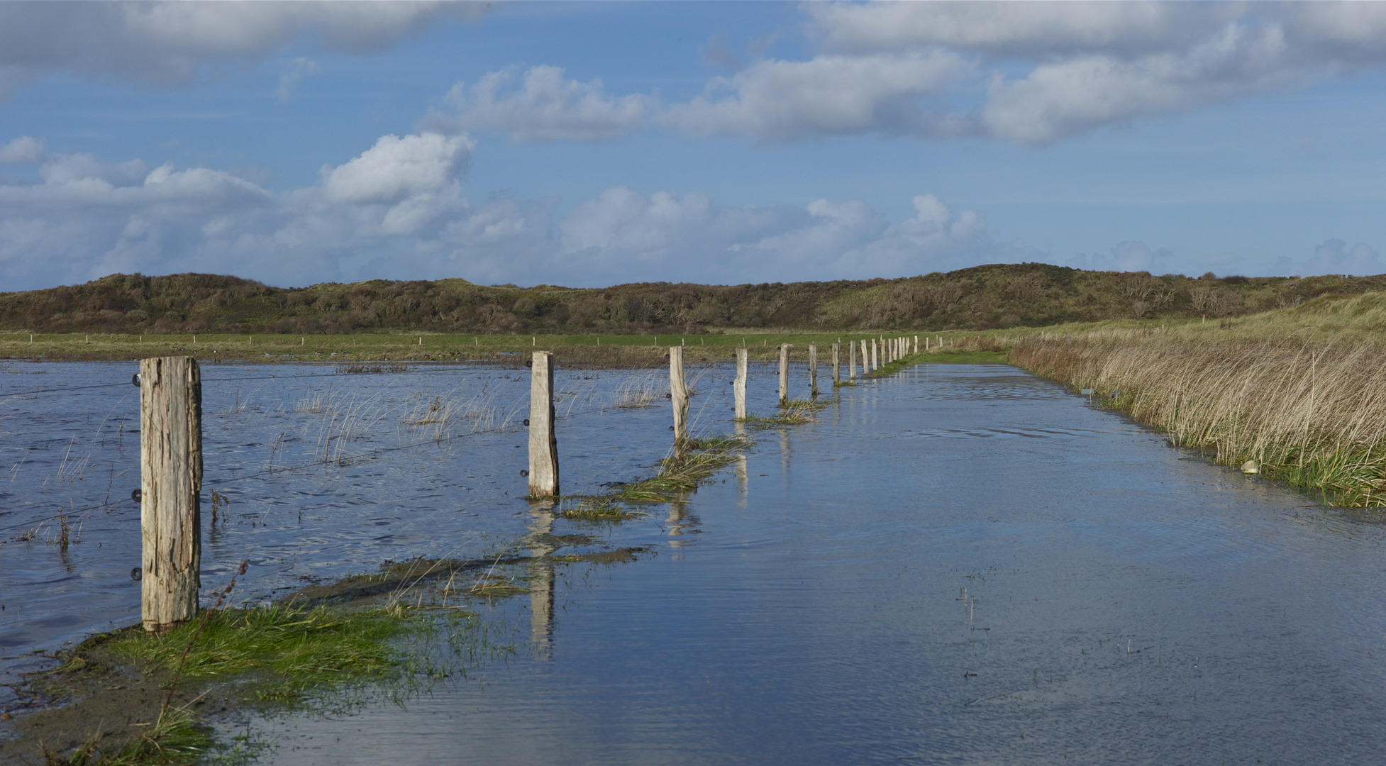 Hinter den Dünen