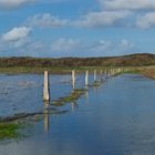 Hinter den Dünen