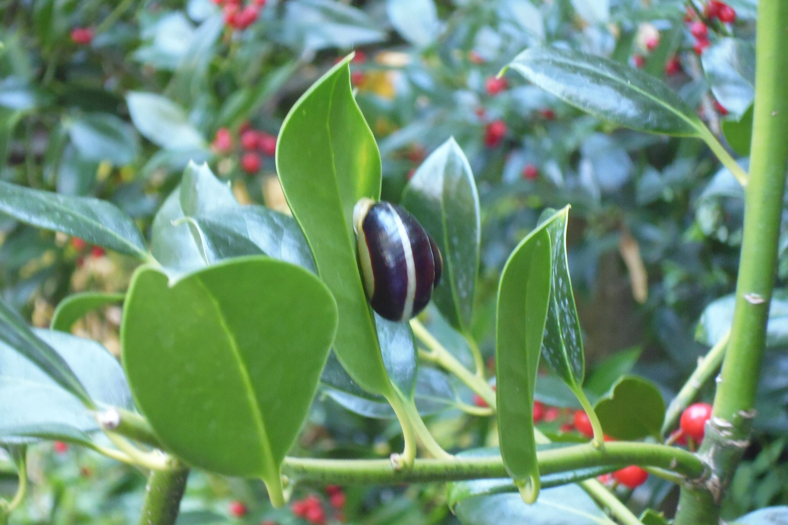 Hinter den Kulissen der Natur.