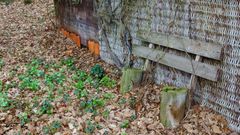 Hinter den Sieben Bergen...