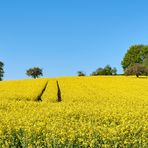 Hinter den Spuren geht es weiter...