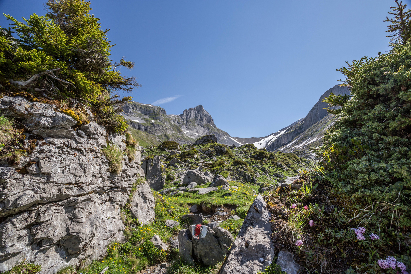 Hinter den Steinen