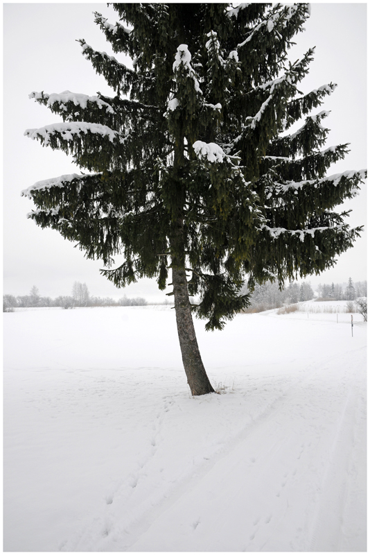 hinter den Weihnachtsfarben