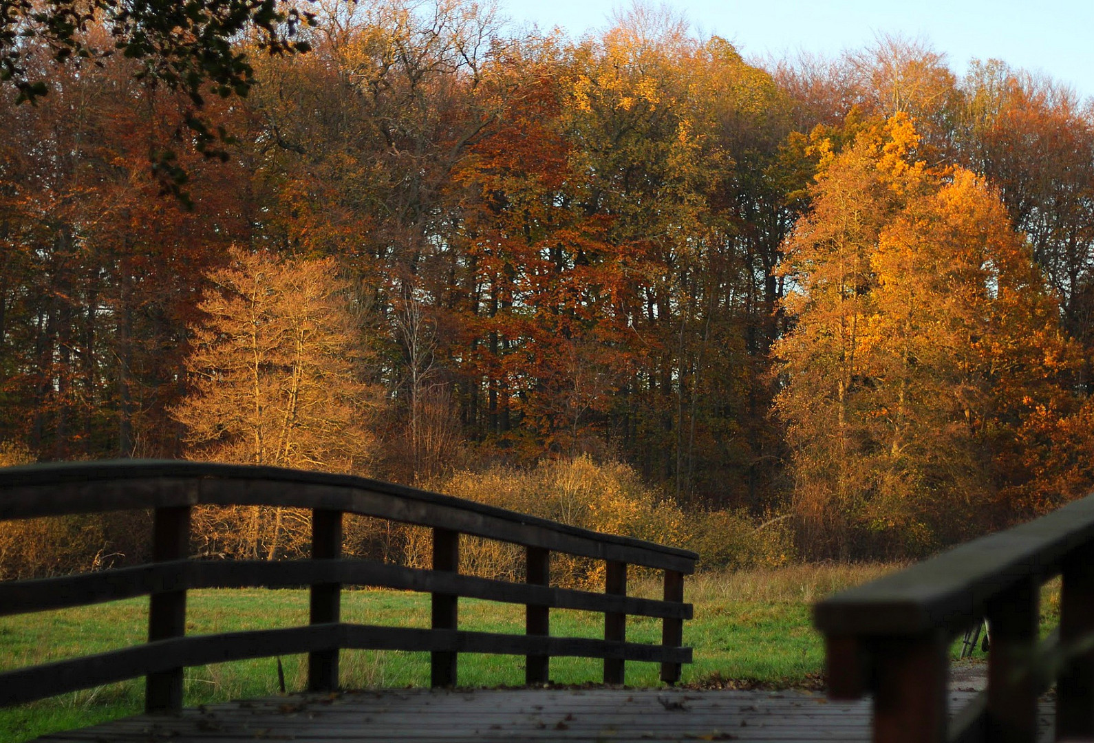 Hinter der Brücke...