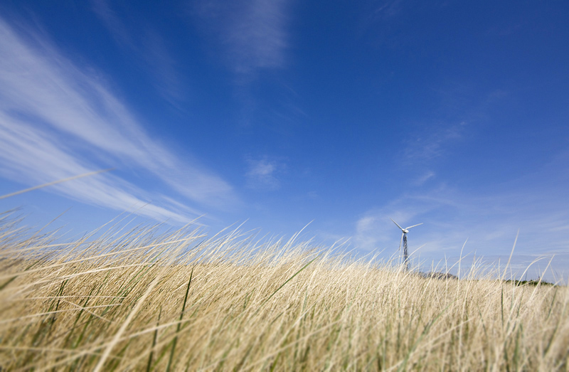 Hinter der Düne