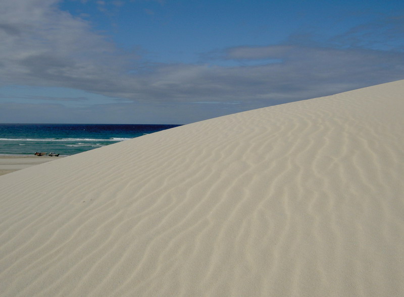 HINTER DER DÜNE