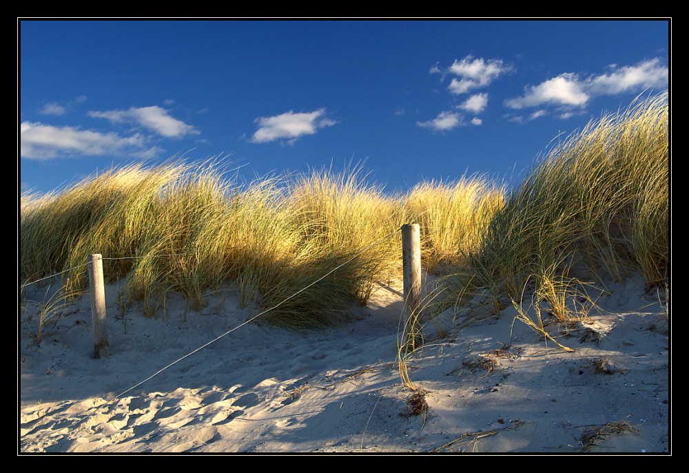 Hinter der Düne