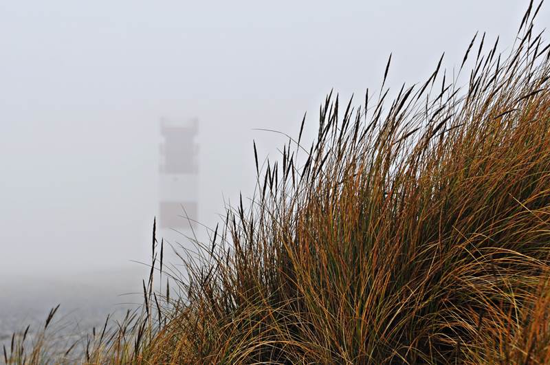 Hinter der Düne . . . .