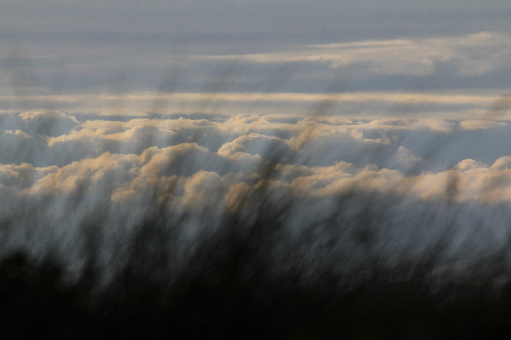 Hinter der Düne