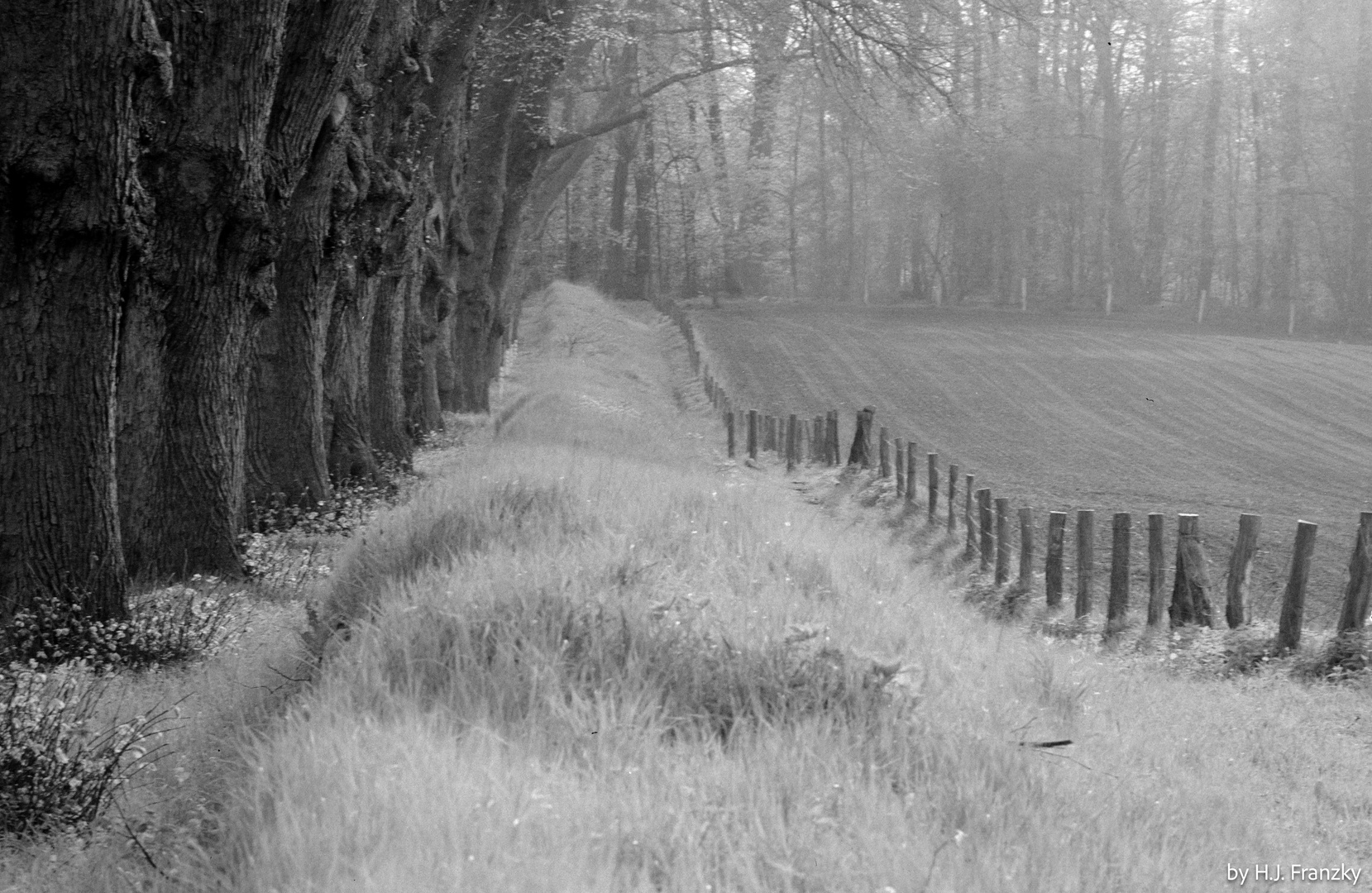 hinter der Emkendorfer Allee