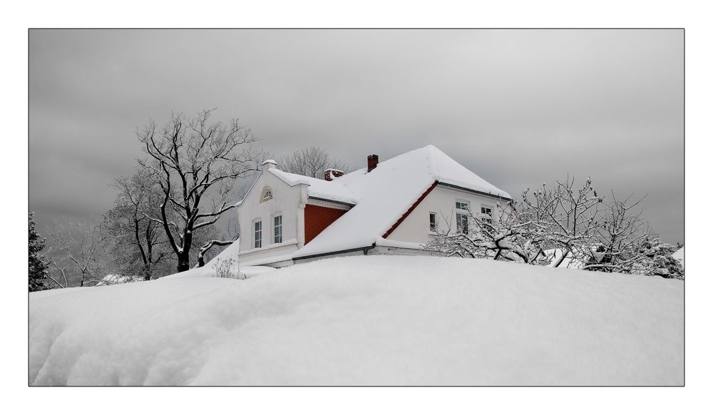 Hinter der Hecke