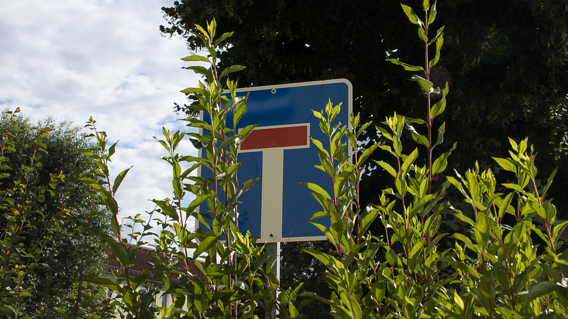  Hinter der Hecke ist Ruh...