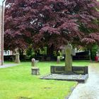 hinter der Kirche von Greetsiel