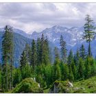 Hinter der Kühroint Alm I