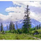 Hinter der Kühroint Alm II