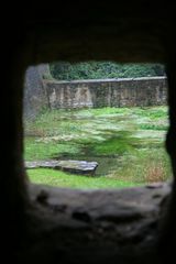 Hinter der Mauer