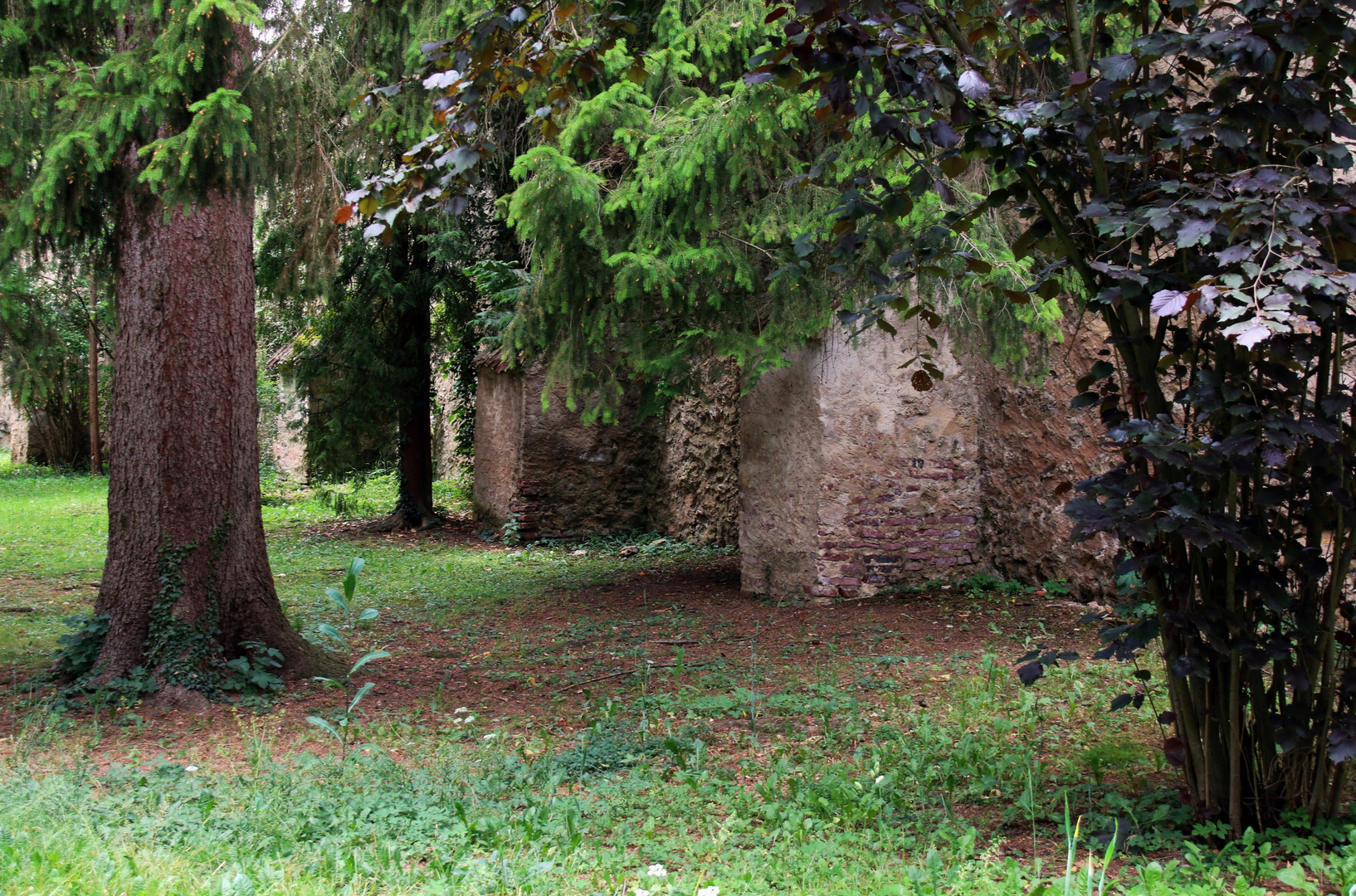 hinter der Mauer