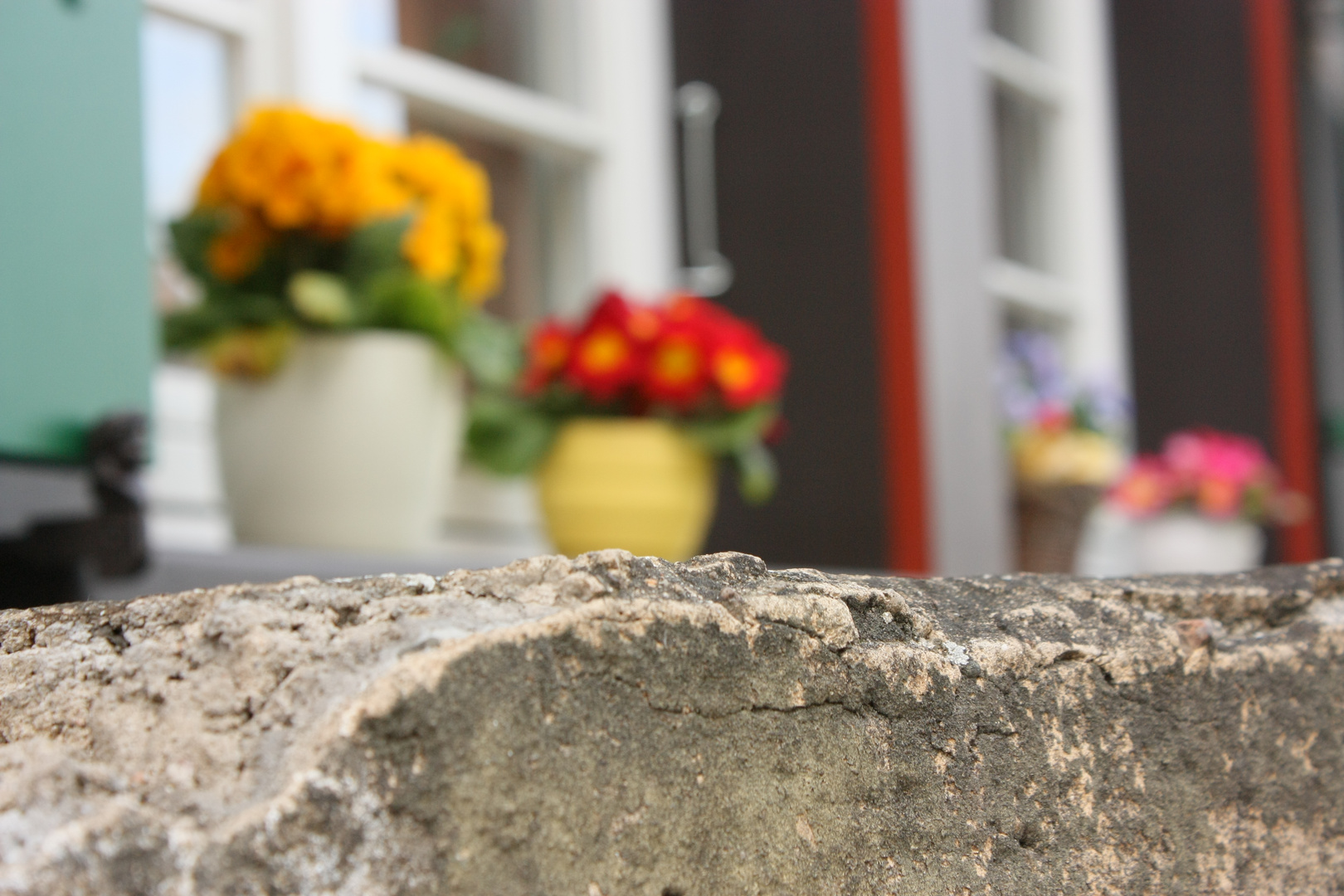 Hinter der Mauer auf der Fensterbank