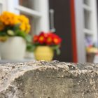 Hinter der Mauer auf der Fensterbank