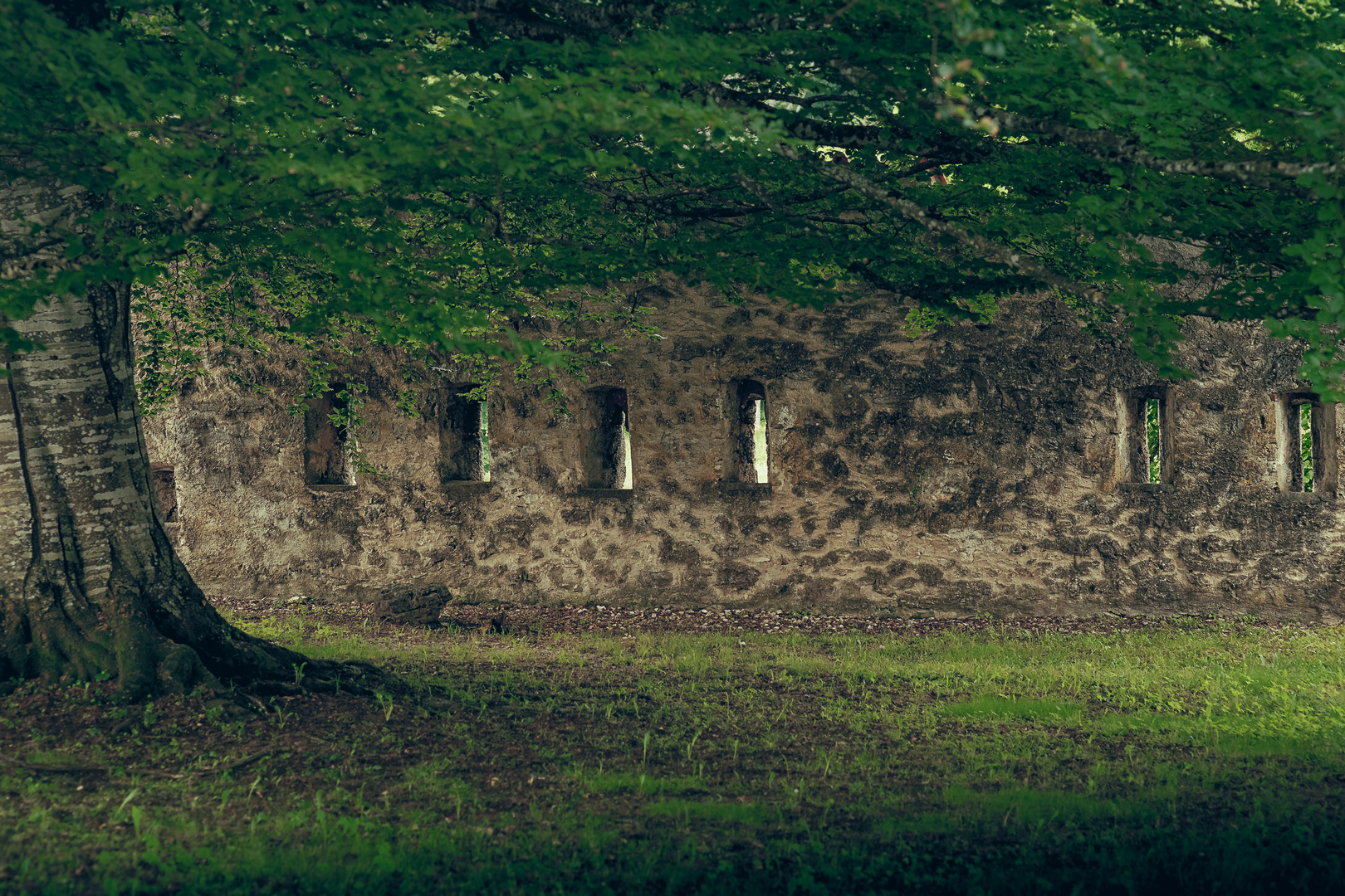 Hinter der Mauer