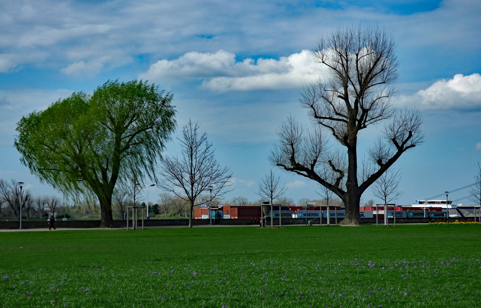 Hinter der Mauer fließt der Rhein