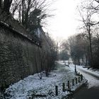 "hinter der Mauer" Mainz