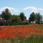 Hinter der Mohnwiese