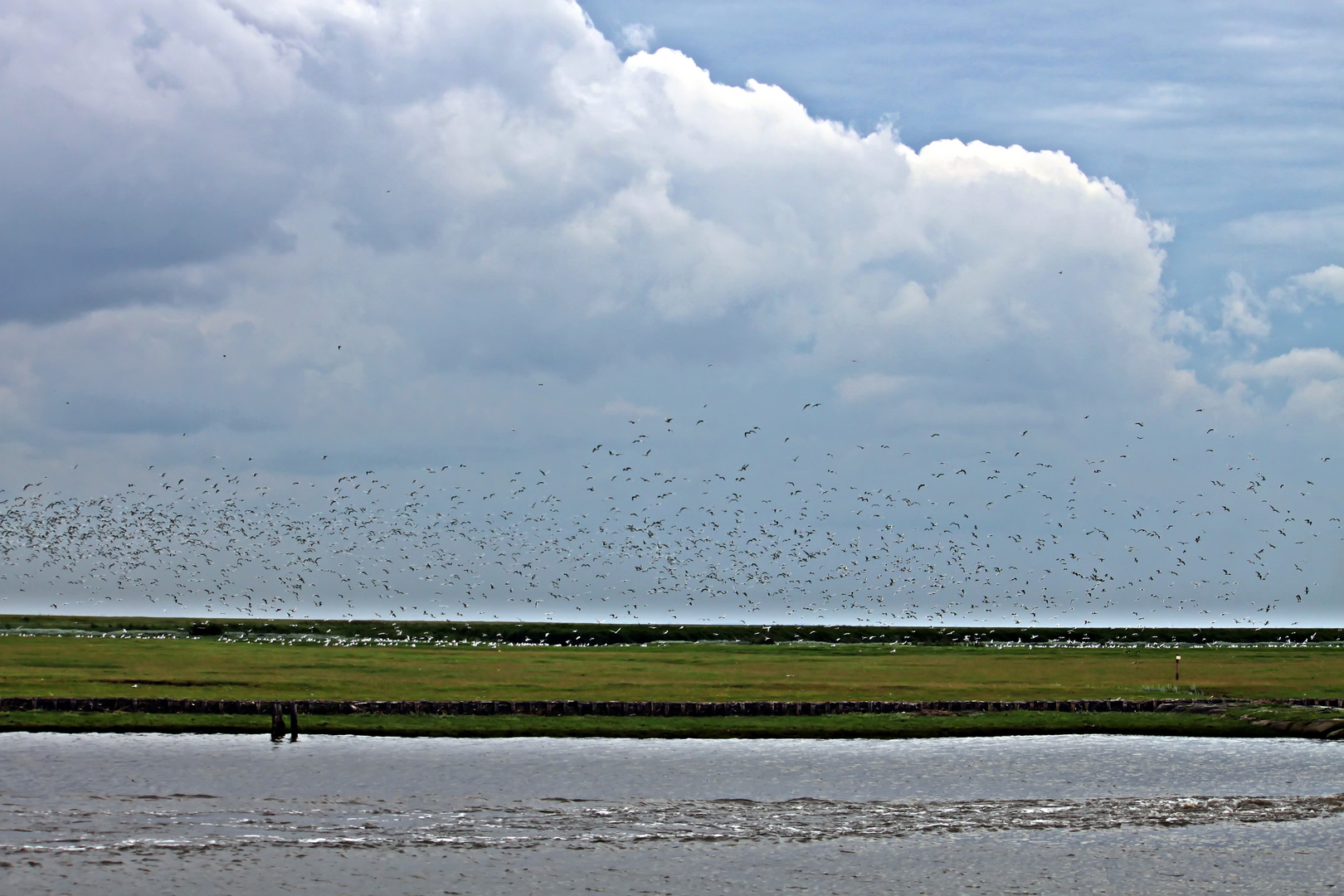 Hinter der Schleuse in Friedrichskoog